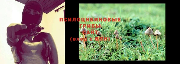 гидропоника Зеленокумск