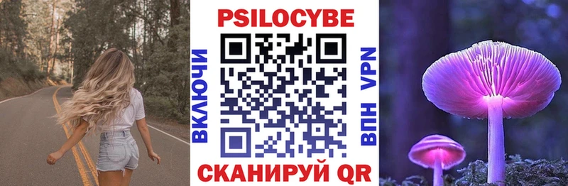 купить   Люберцы  Галлюциногенные грибы Cubensis 
